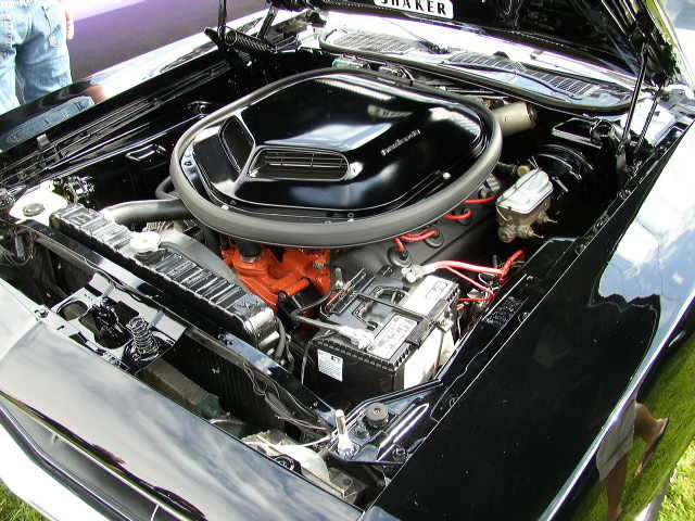 P1010016.JPG